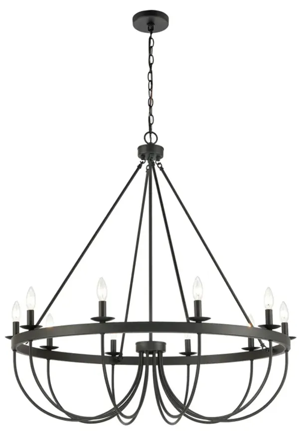 Williamson 38" Wide 10-Light Chandelier - Black
