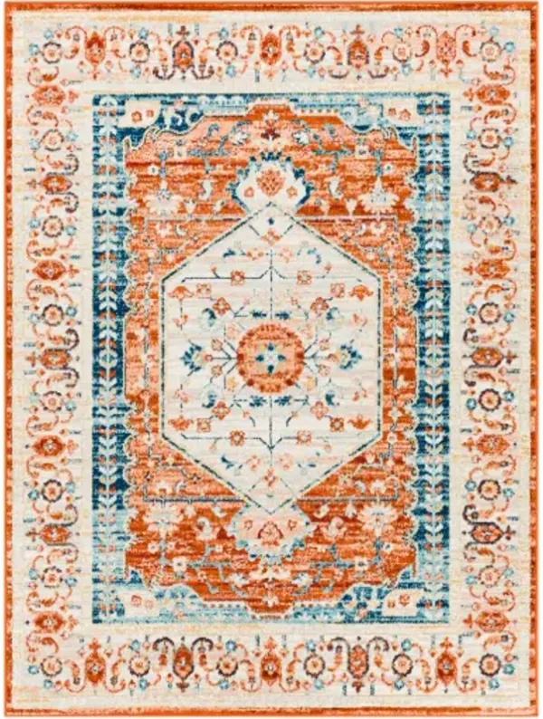 Tevazu 5'3" x 7' Rug