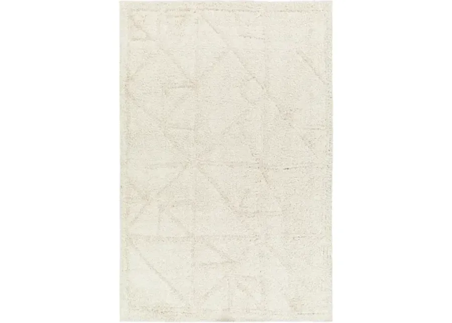 Maryland Shag 5'3" x 7' Machine Woven Rug