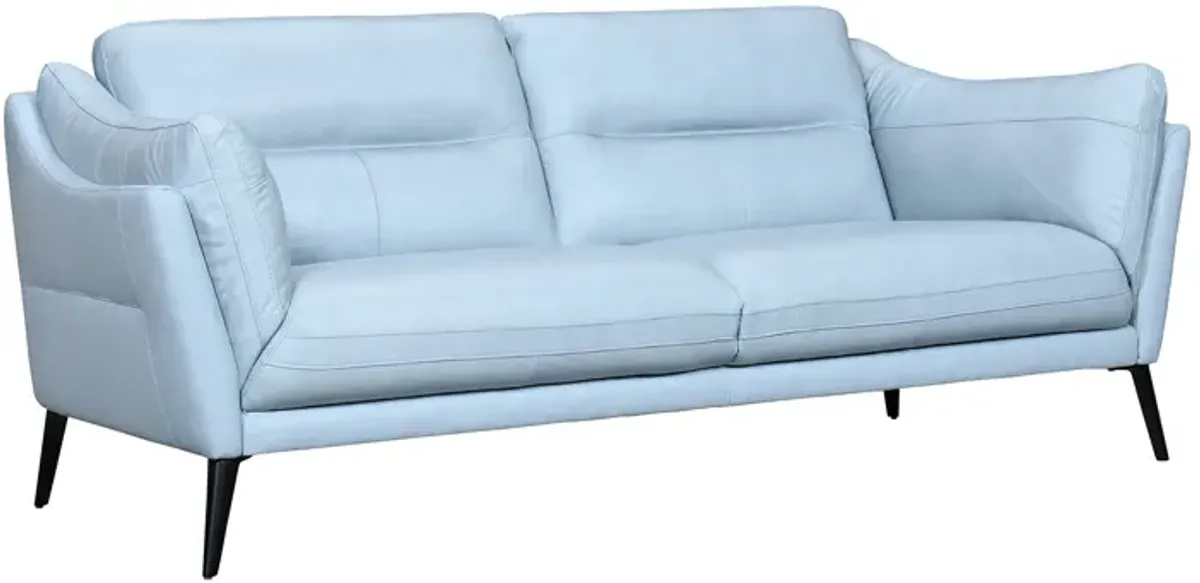 Franz Sky Blue Leather Sofa