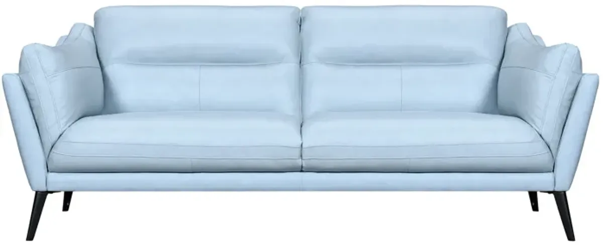 Franz Sky Blue Leather Sofa