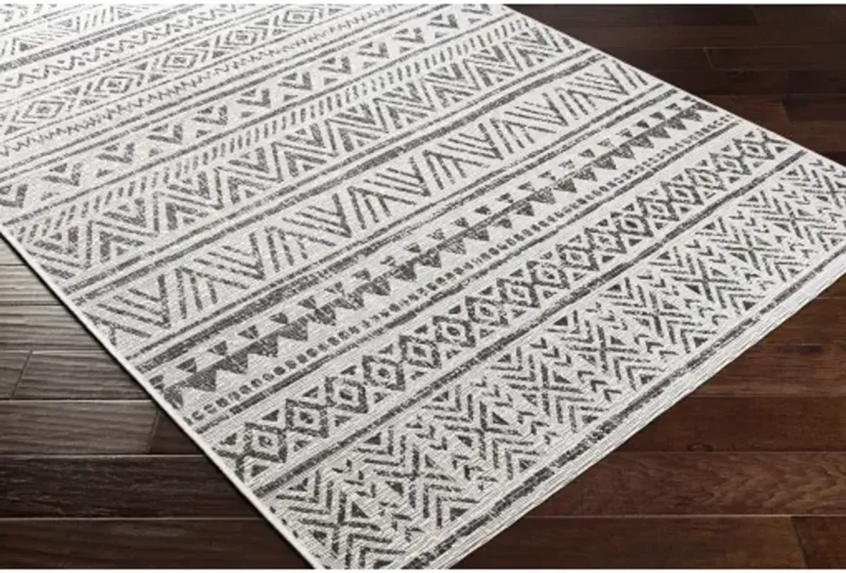 Eagean 6'7" Square Rug