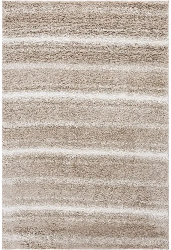 BORDER & STRIPE SHAG 252 Beige 4'-5' x 6'-5' Medium Rectangle Rug