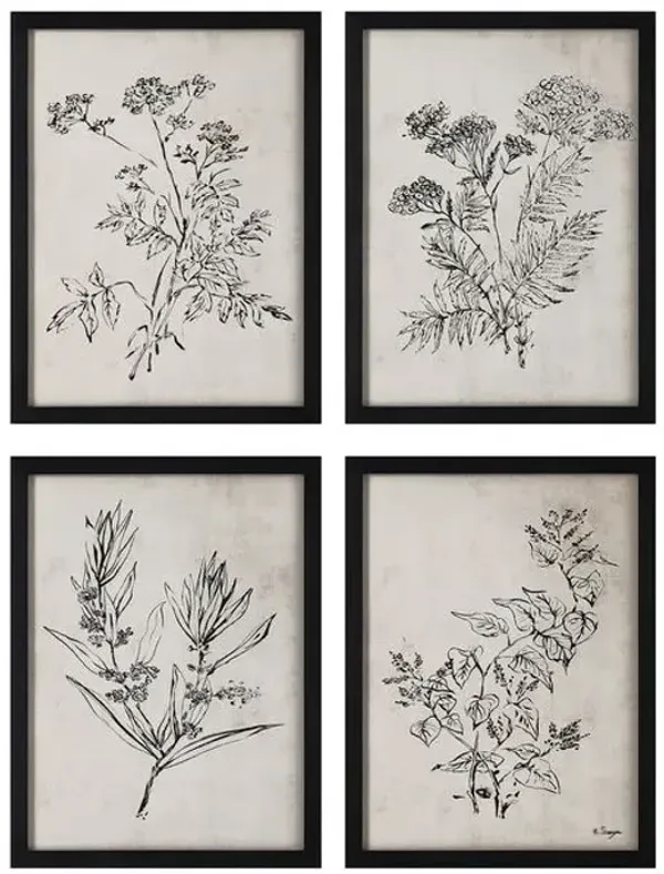 Basset - Set of 4