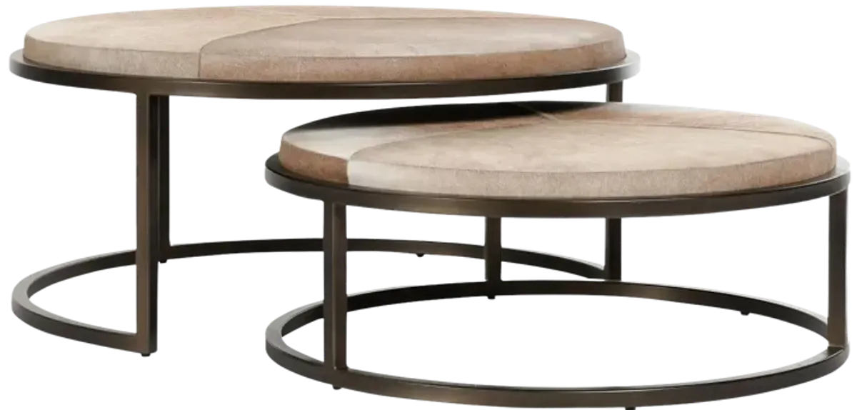 Hayword Hide Set of 2 Nesting Coffee Tables in Sparrow Gray