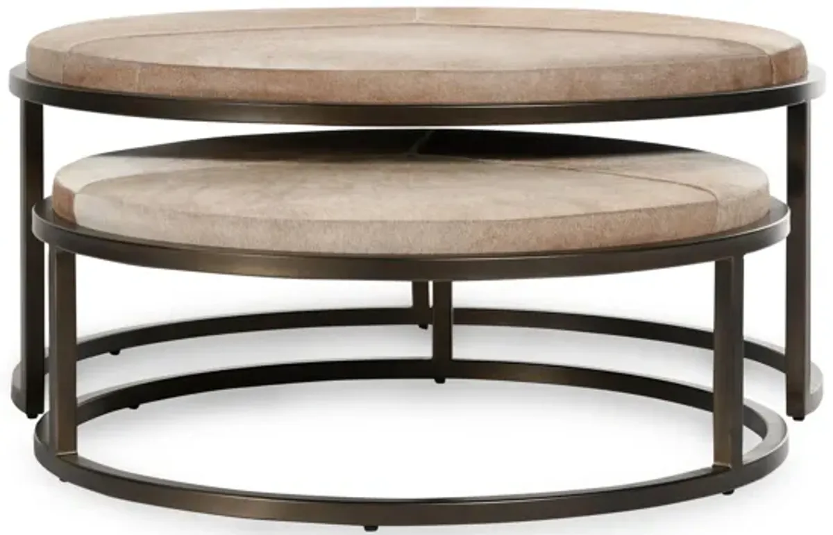 Hayword Hide Set of 2 Nesting Coffee Tables in Sparrow Gray