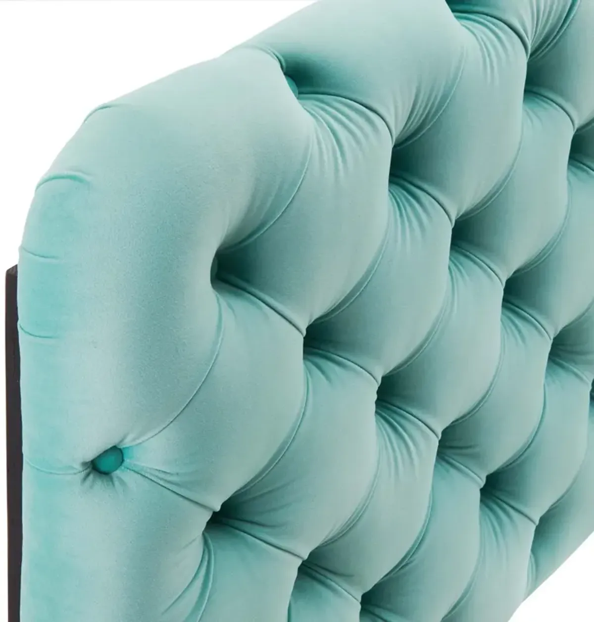 Lizzy Tufted Twin Performance Velvet Headboard