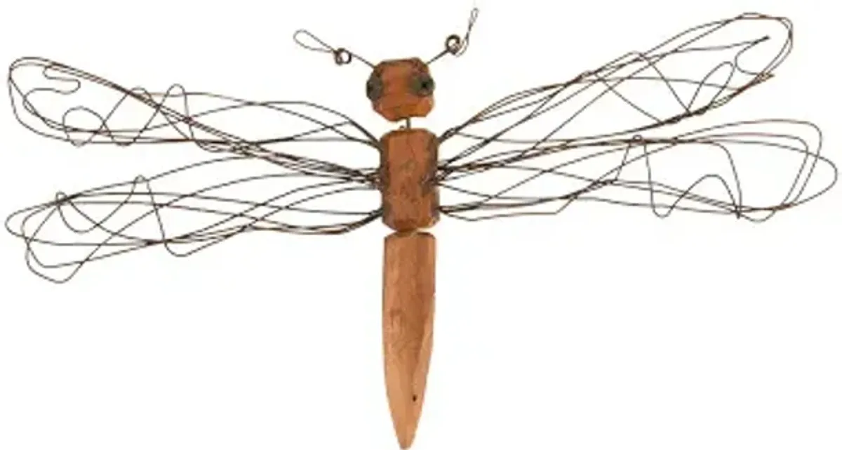 wire wing dragonfly, sm