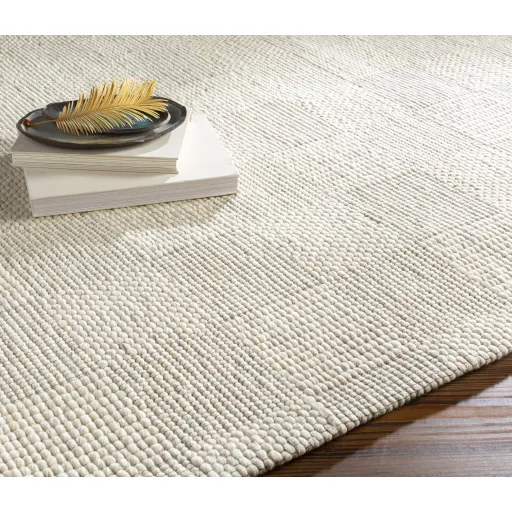 Colarado 8'10" x 12' Rug