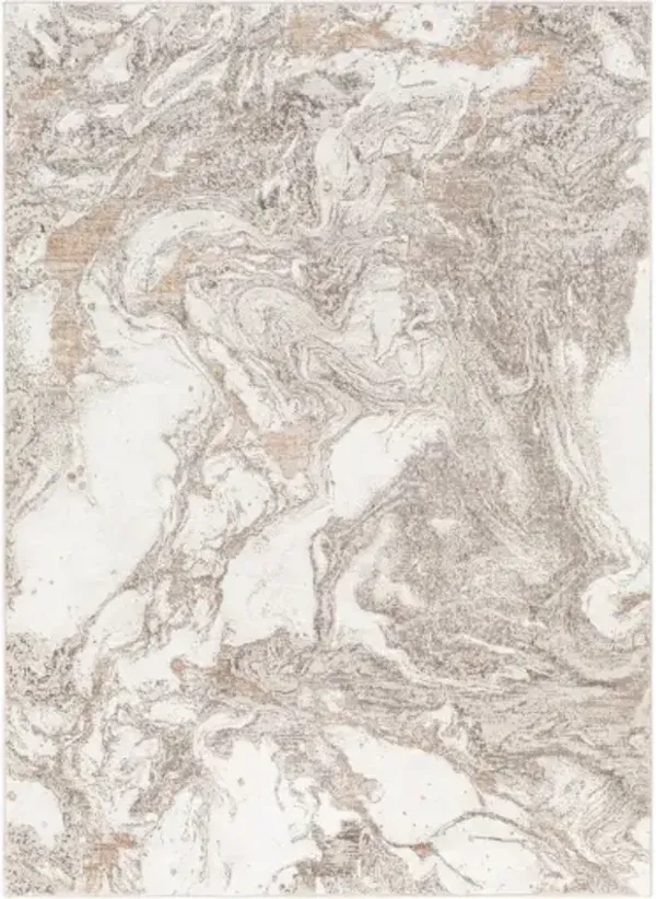 Allegro 5'3" x 7' Rug