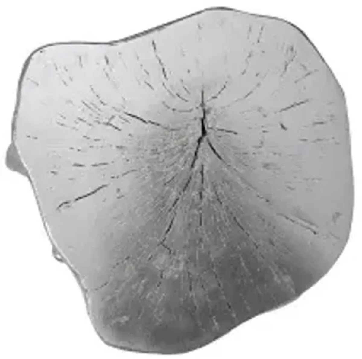 log stool, silver leaf, sm