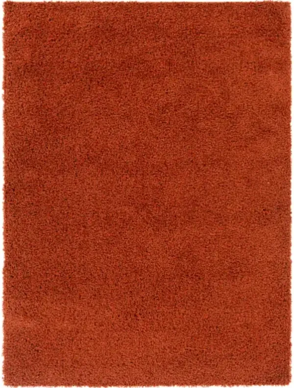 Bliss shag 2' x 3' Rug