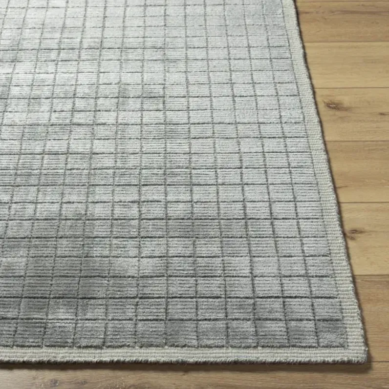 Carre CCR-2302 2'6" x 8' Rug