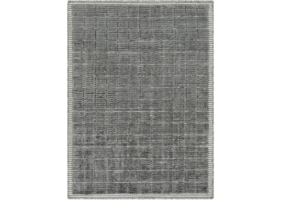 Carre CCR-2302 2'6" x 8' Rug