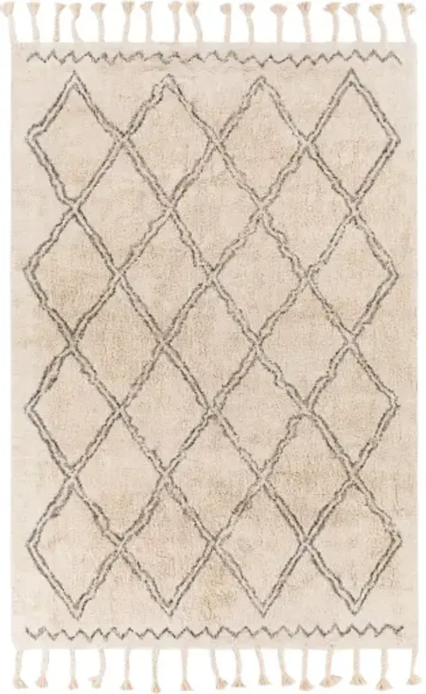 Khemisset 2'6" x 4' Rug