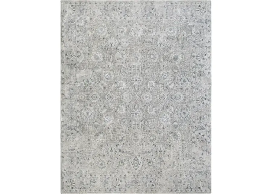 Brunswick BWK-2349 6'7" x 9'6" Machine Woven Rug