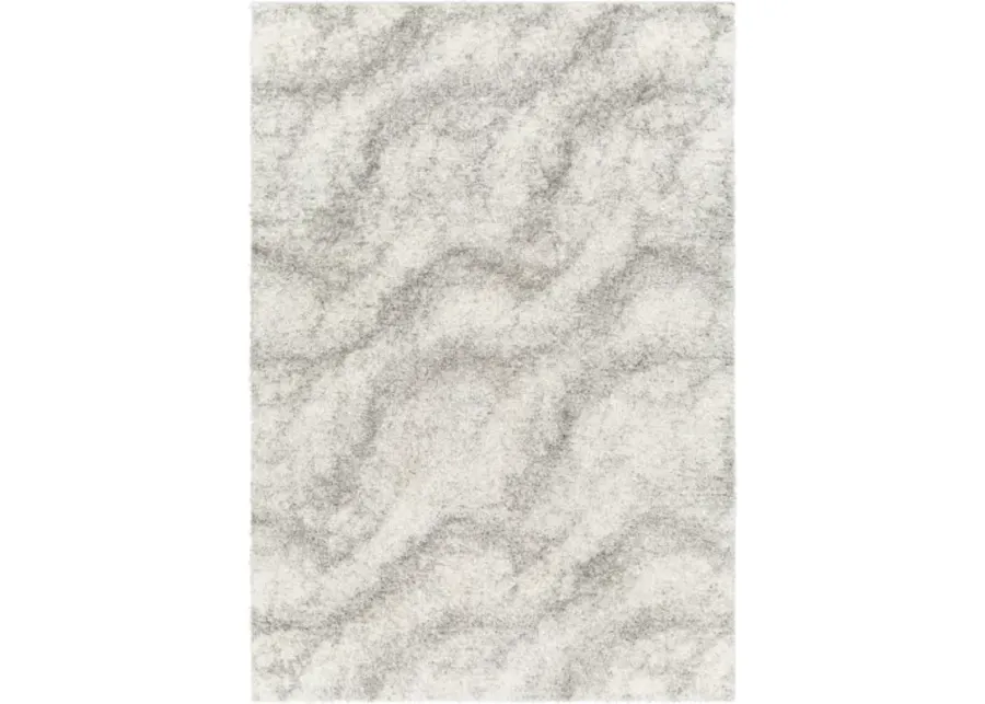 Cloudy Shag CDG-2306 7'10" x 10' Machine Woven Rug