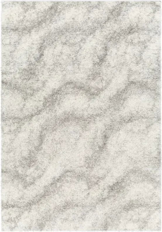 Cloudy Shag CDG-2306 7'10" x 10' Machine Woven Rug