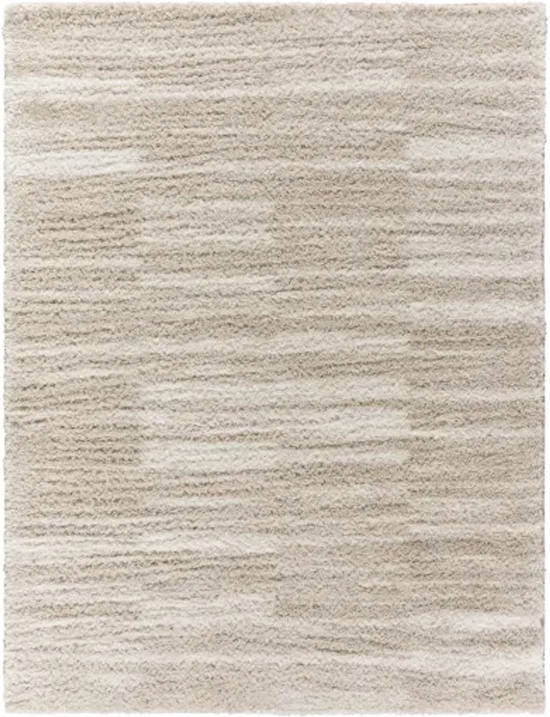 Cloudy Shag CDG-2333 7'10" x 10' Machine Woven Rug