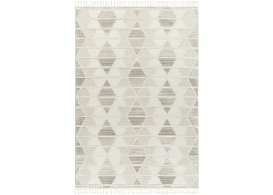 Finland FND-2301 9'2" x 12' Machine Woven Rug