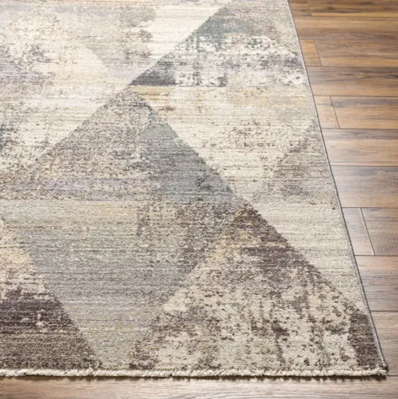 Aida AAD-2308 3'11" x 5'10" Machine Woven Rug