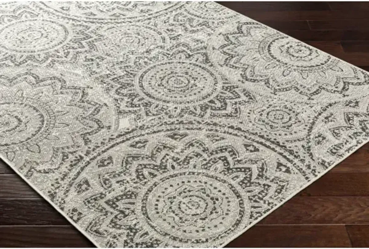 Ravello RVL-2314 5'3" x 7' Machine Woven Rug