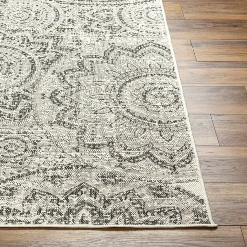 Ravello RVL-2314 5'3" x 7' Machine Woven Rug