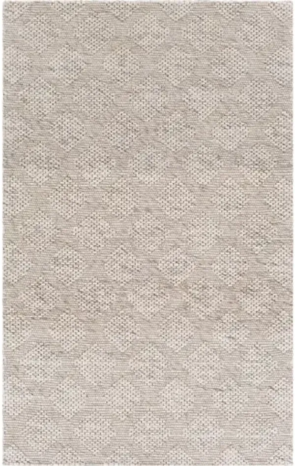 Colarado 5' x 7'6" Rug