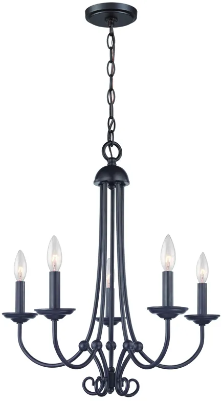 Williamsport 20" Wide 5-Light Chandelier - Oil Rubbed Bronze