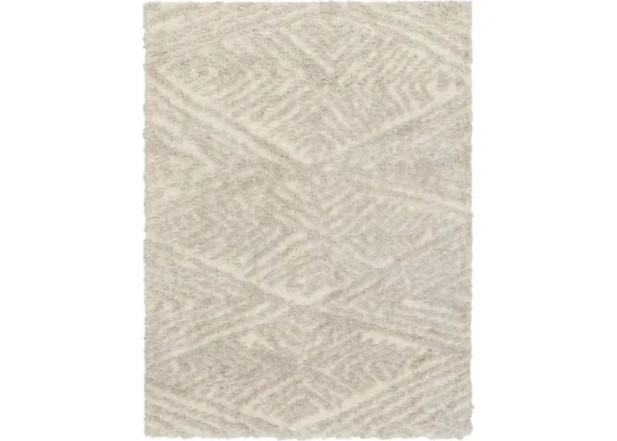 Everton Plus EVP-2302 5'3" x 7' Machine Woven Rug