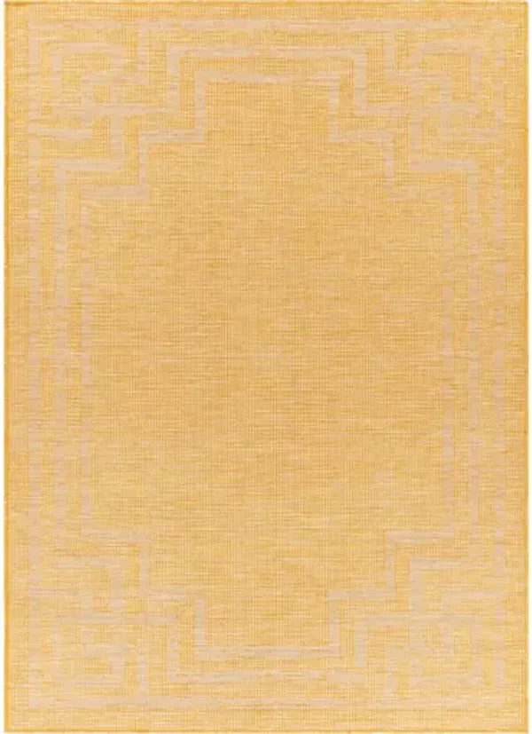 Pasadena 2'6" x 4' Rug