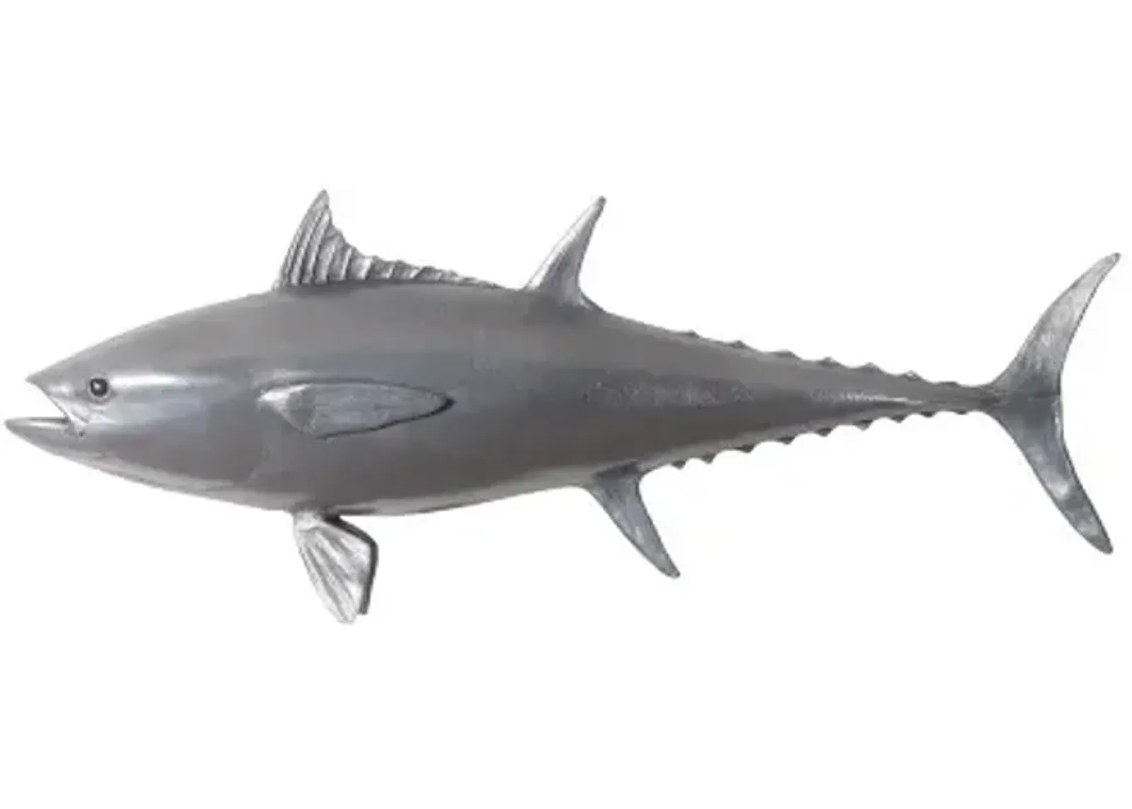 bluefin tuna fish wall sculpture, resin, polished aluminum finish