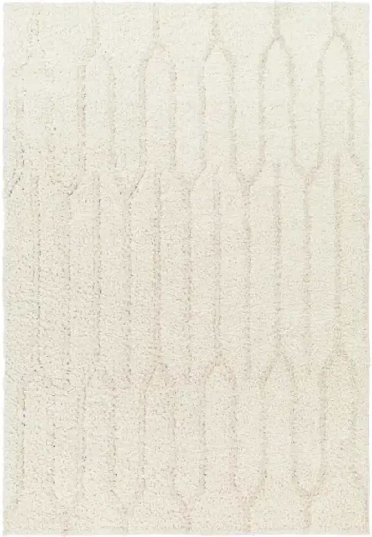 Maryland Shag MSG-2301 6'7" x 9' Machine Woven Rug