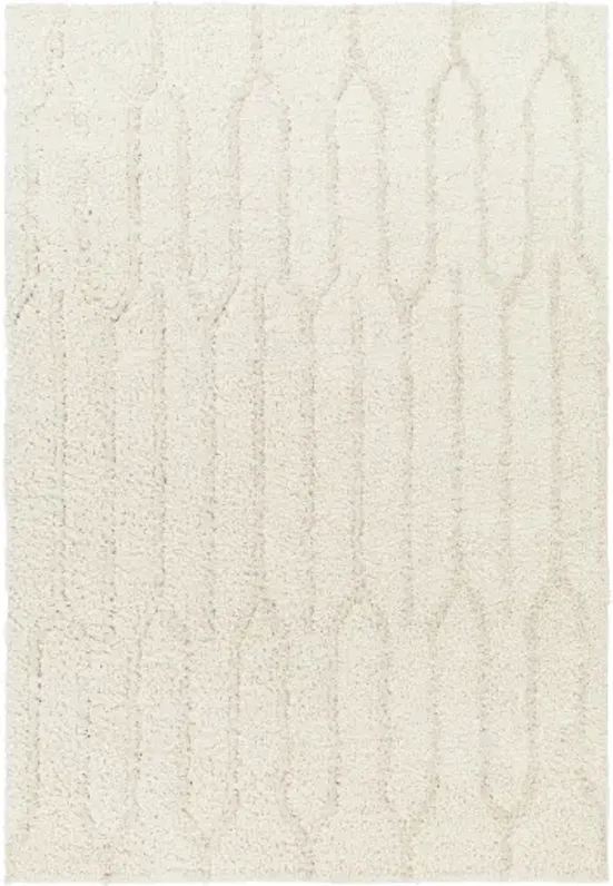 Maryland Shag MSG-2301 6'7" x 9' Machine Woven Rug