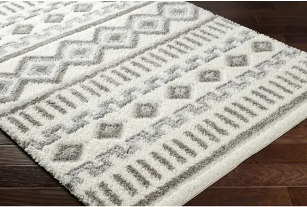 Nomadic NMC-2302 6'7" x 9' Machine Woven Rug