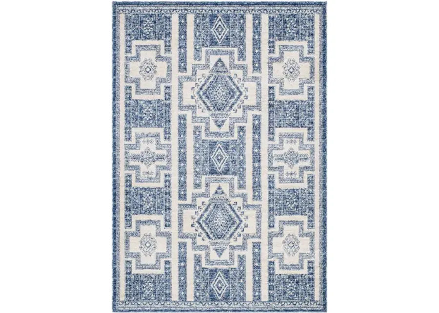 Positano PSN-2315 8'10" x 12' Machine Woven Rug