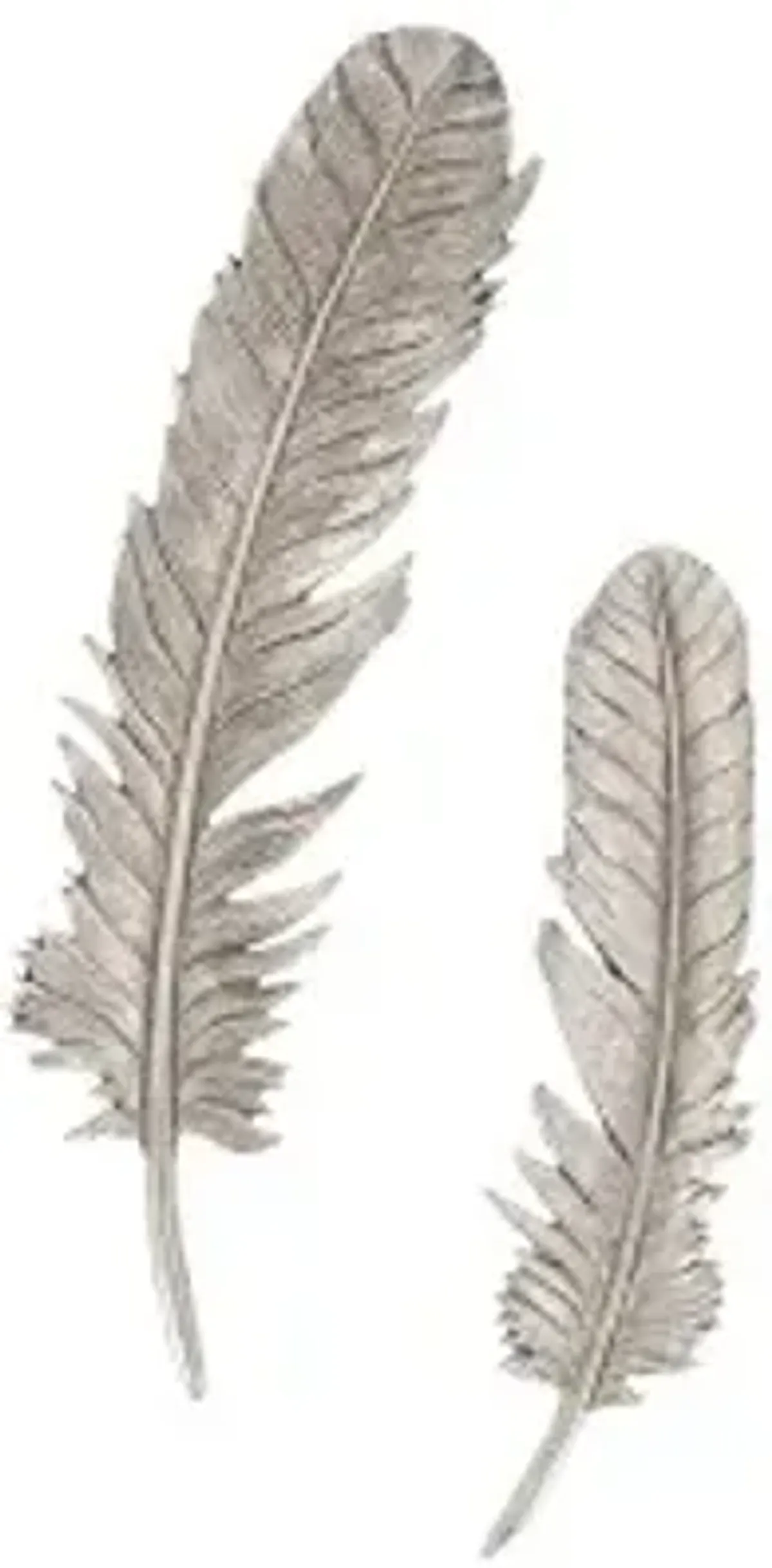 feathers wall art, small, silver leaf, set of 2