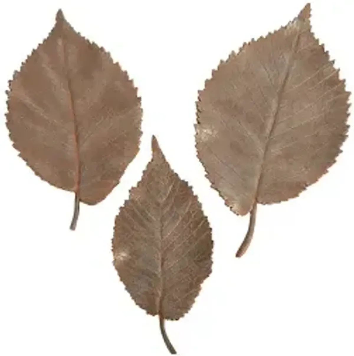 elm leaf wall tiles, set of 3, rust