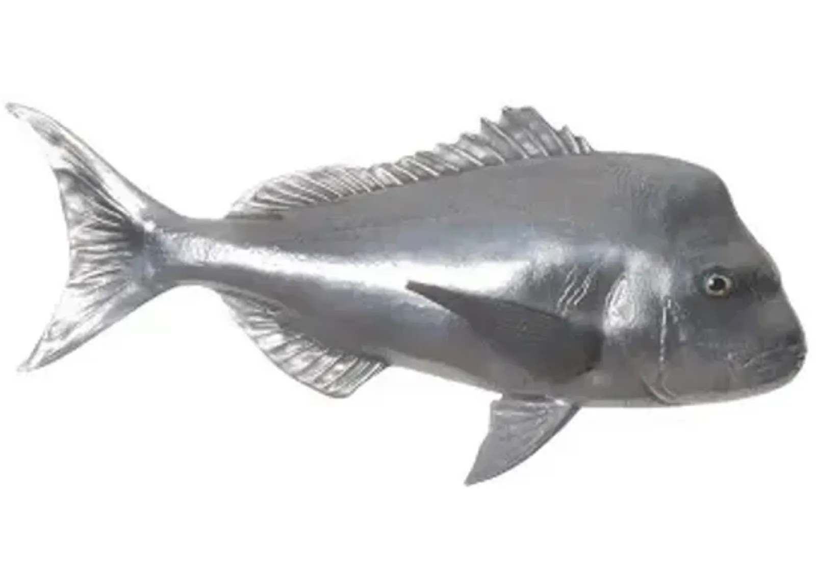 australian snapper fish wall sculpture, resin, polished aluminum finish