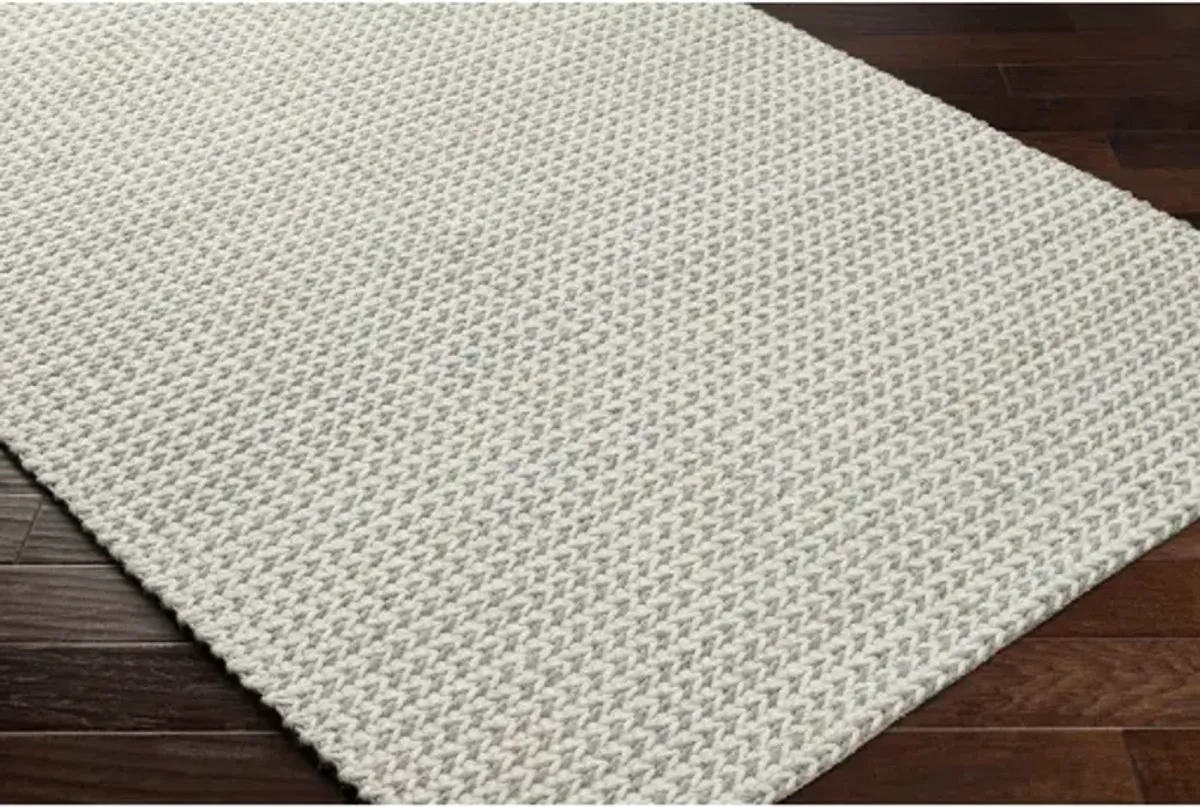 Sundance SDC-2304 2' x 3' Hand Made Rug