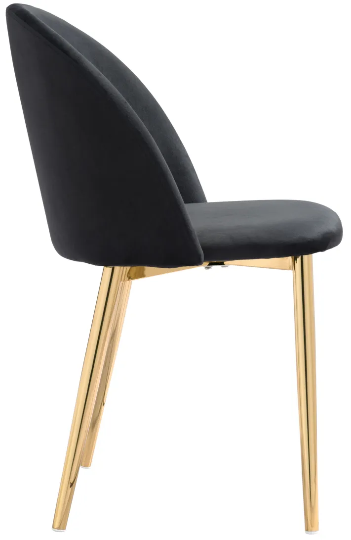 Cozy Dining Chair (Set of 2) Black & Gold