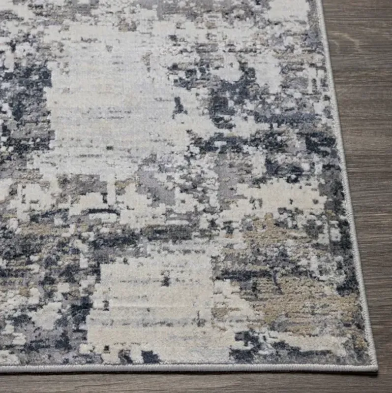 Norland 10' x 14' Rug