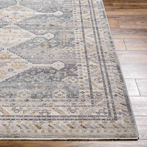 Aida AAD-2305 3'11" x 5'10" Machine Woven Rug