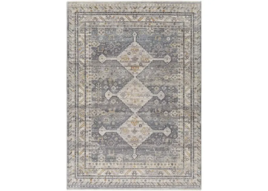 Aida AAD-2305 3'11" x 5'10" Machine Woven Rug