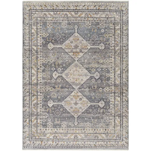 Aida AAD-2305 3'11" x 5'10" Machine Woven Rug