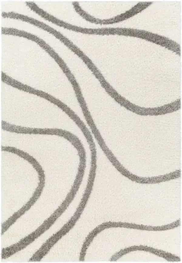 Cloudy Shag CDG-2300 6'7" x 9' Machine Woven Rug