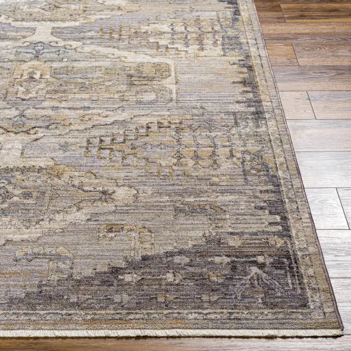 Aida AAD-2303 3'11" x 5'10" Machine Woven Rug