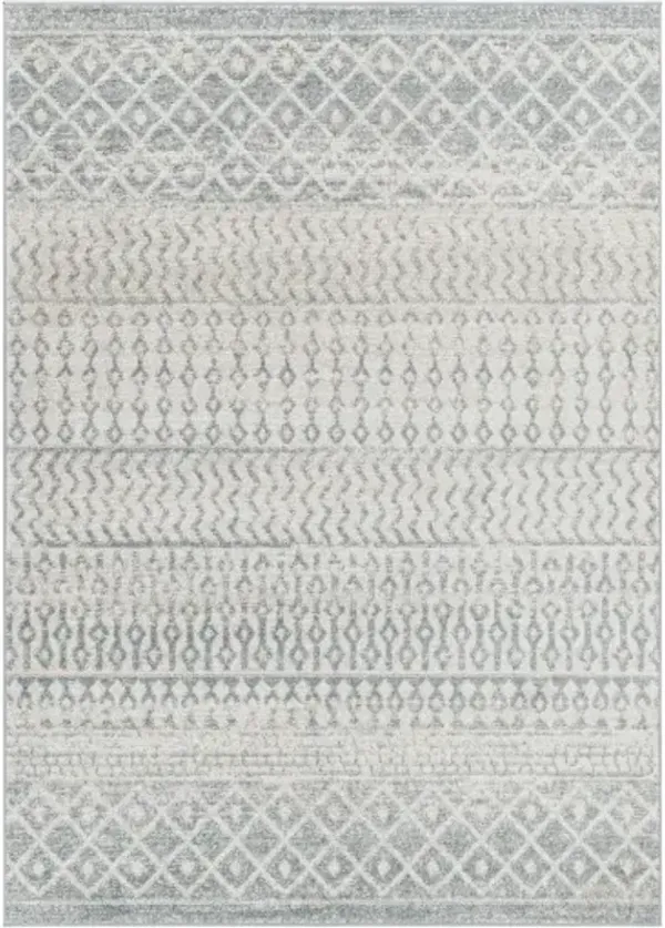 Elaziz ELZ-2372 2'7" x 7'7" Machine Woven Rug