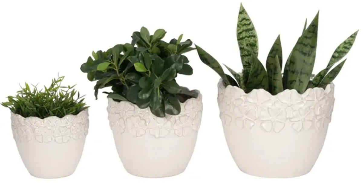 S/3 8/9/11" Floral Crown Planter, Ivory