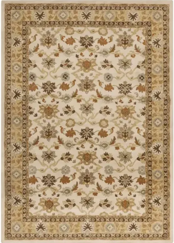 Caesar 5' x 8' Rug